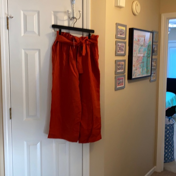 Size Large, Madewell, Rust Colored Culottes. - Picture 2 of 7